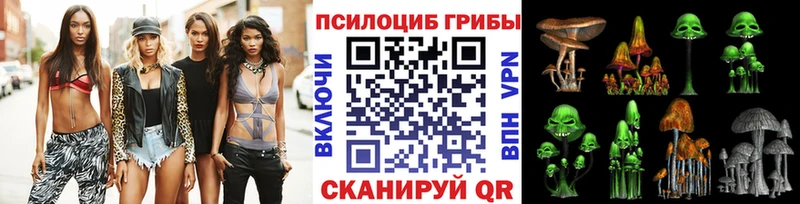 Псилоцибиновые грибы Cubensis  Окуловка 